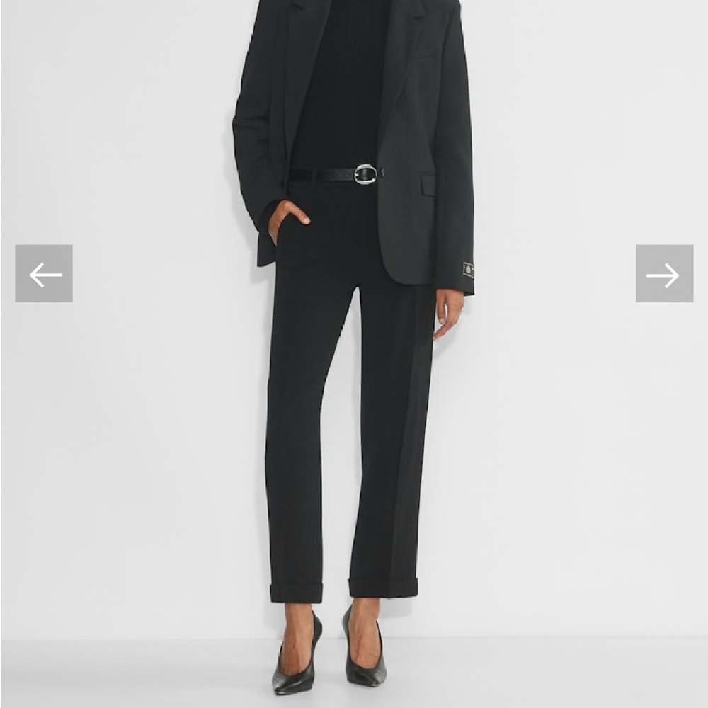 Aritzia Babaton Sartorial Pant